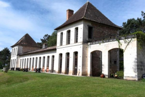 Château Neuf Le Désert, Le Pizou